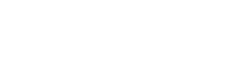 Intelplexis